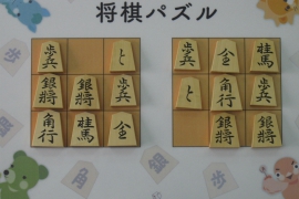 人に自慢したくなる 将棋道具にまつわる5つの雑学 盤駒編 株式会社いつつ