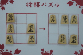 将棋は最強の木製玩具 盤駒を使った新しい遊び方5つ 株式会社いつつ