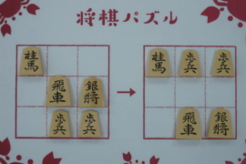 駒落ち攻略虎の巻 8枚落ち 株式会社いつつ