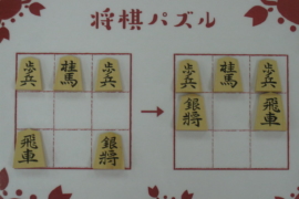 人に自慢したくなる 将棋道具にまつわる5つの雑学 盤駒編 株式会社いつつ