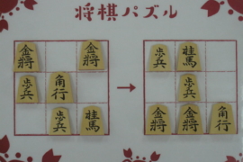 かっこいい名前の囲い5選 株式会社いつつ